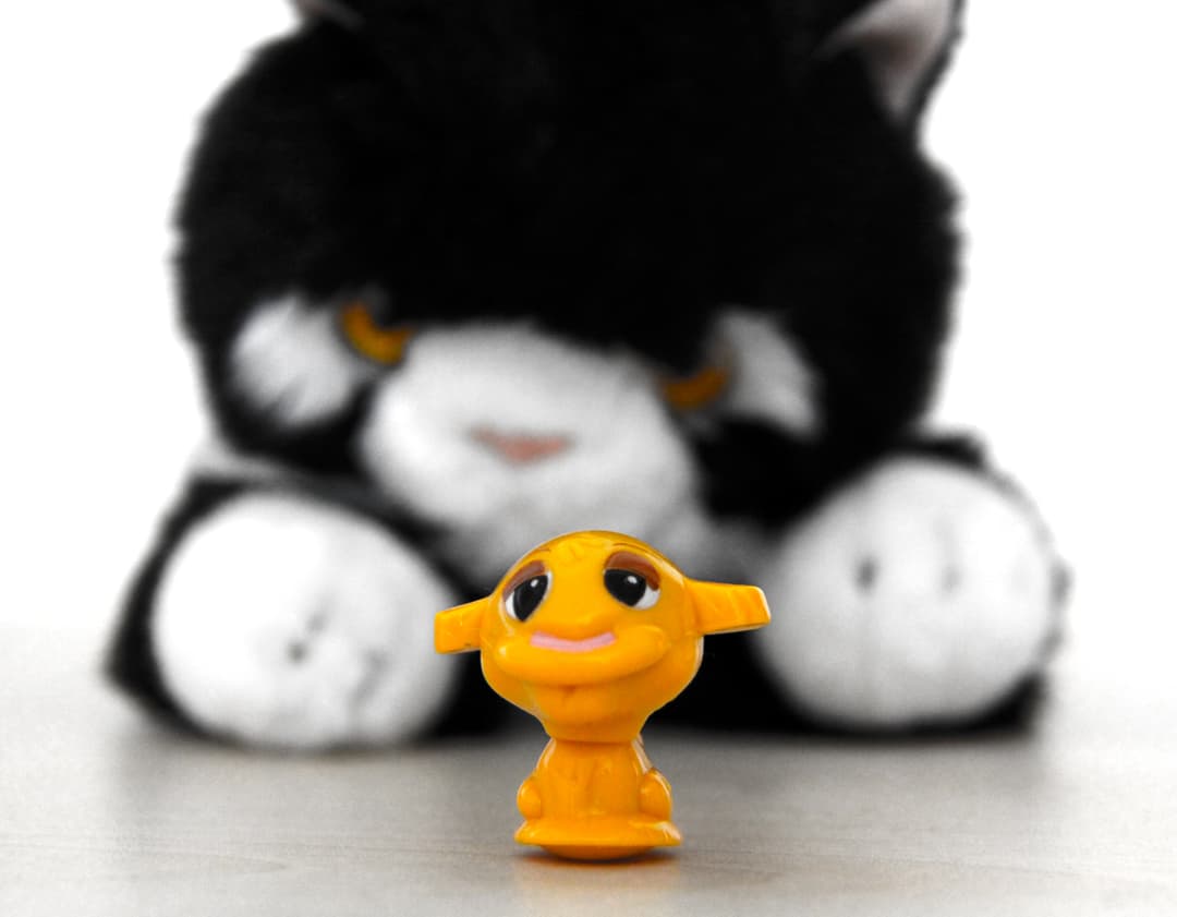 Journey of Luck Journey of Luck