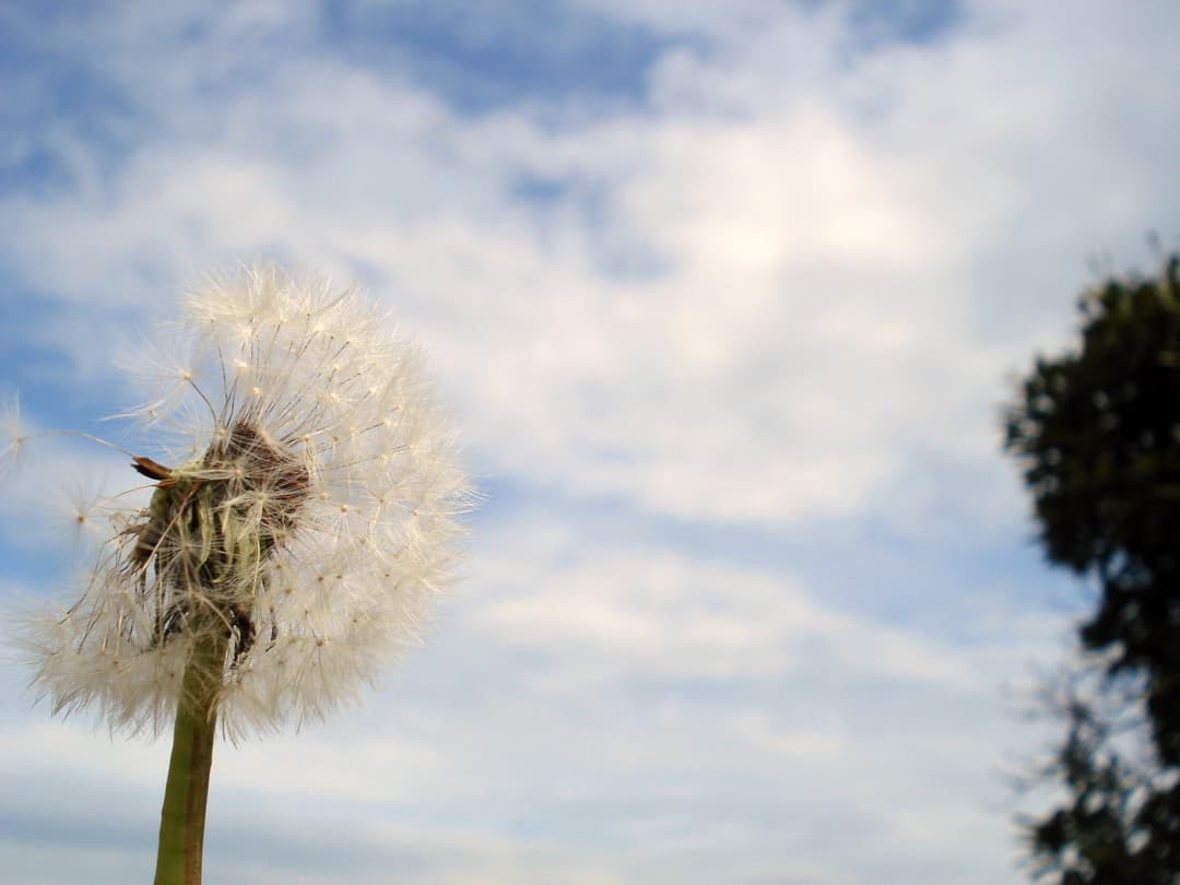 How to “play” in nature? How to “play” in nature?